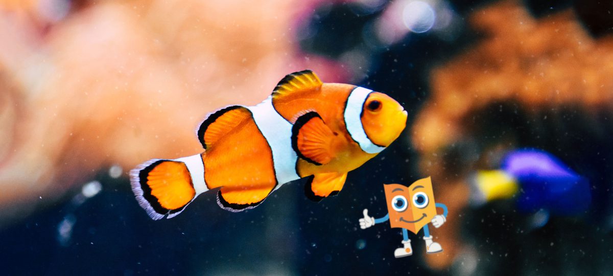 Dropdown Menus in Drupal 8 with the Superfish Module