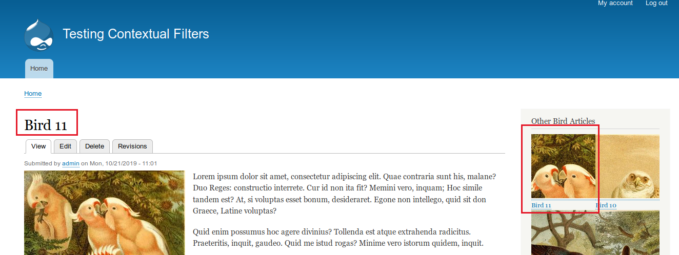 191019 contextual filers 011