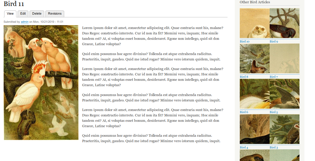 191019 contextual filers 018