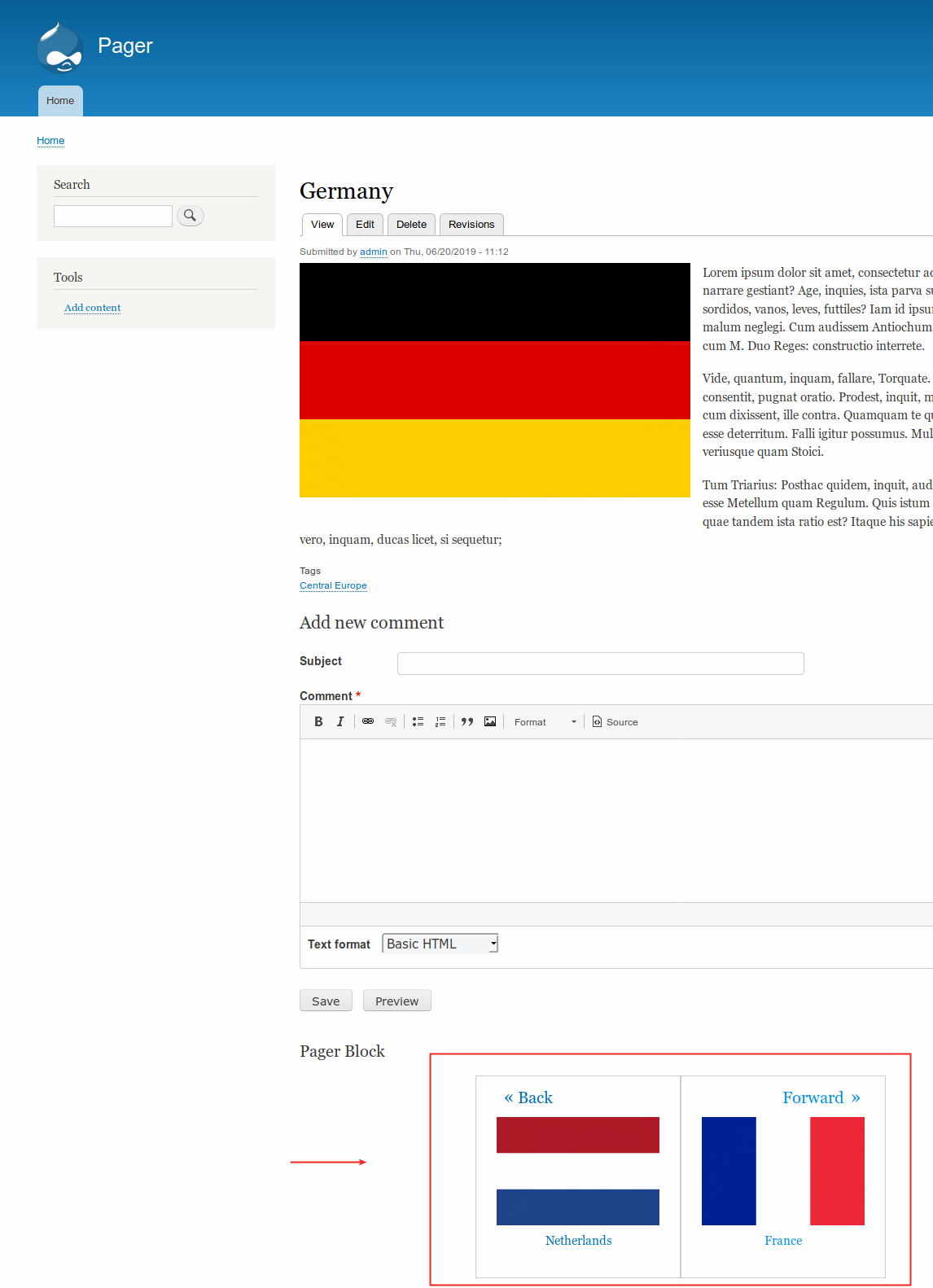 Go back to your site and you will be able only to paginate across articles with one particular taxonomy term