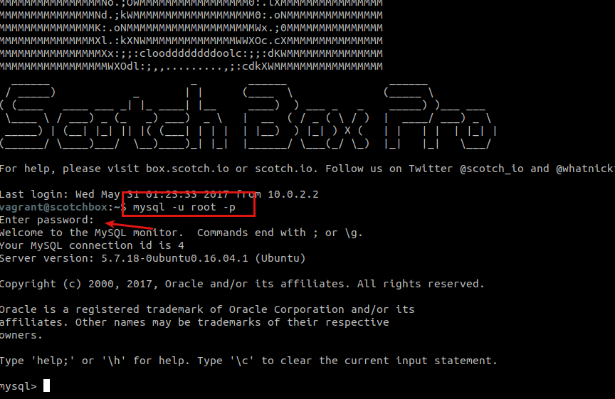 190917 drupal vagrant 009