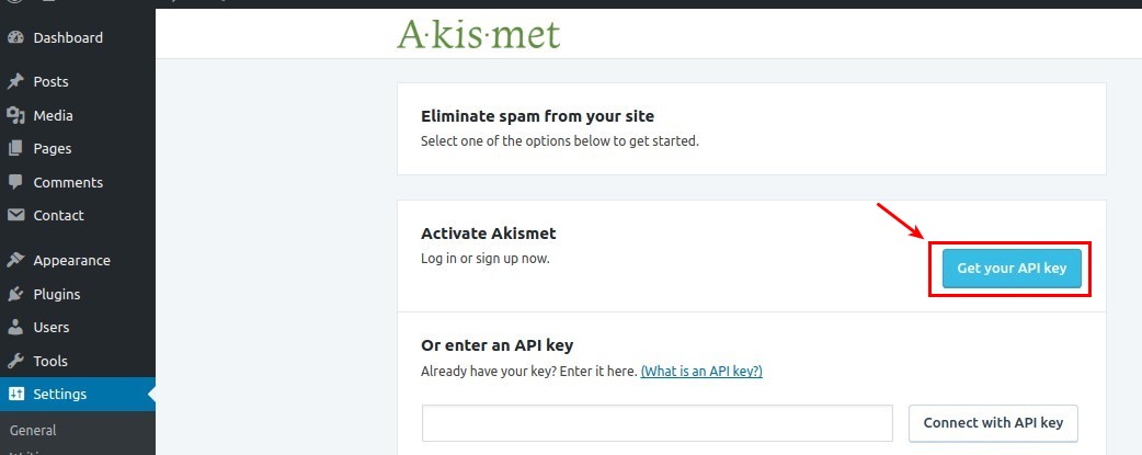 04 get your api key