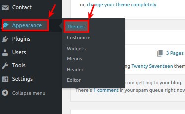 04 appearance themes