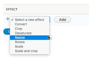resize image effect for Views Slideshow in Drupal 8