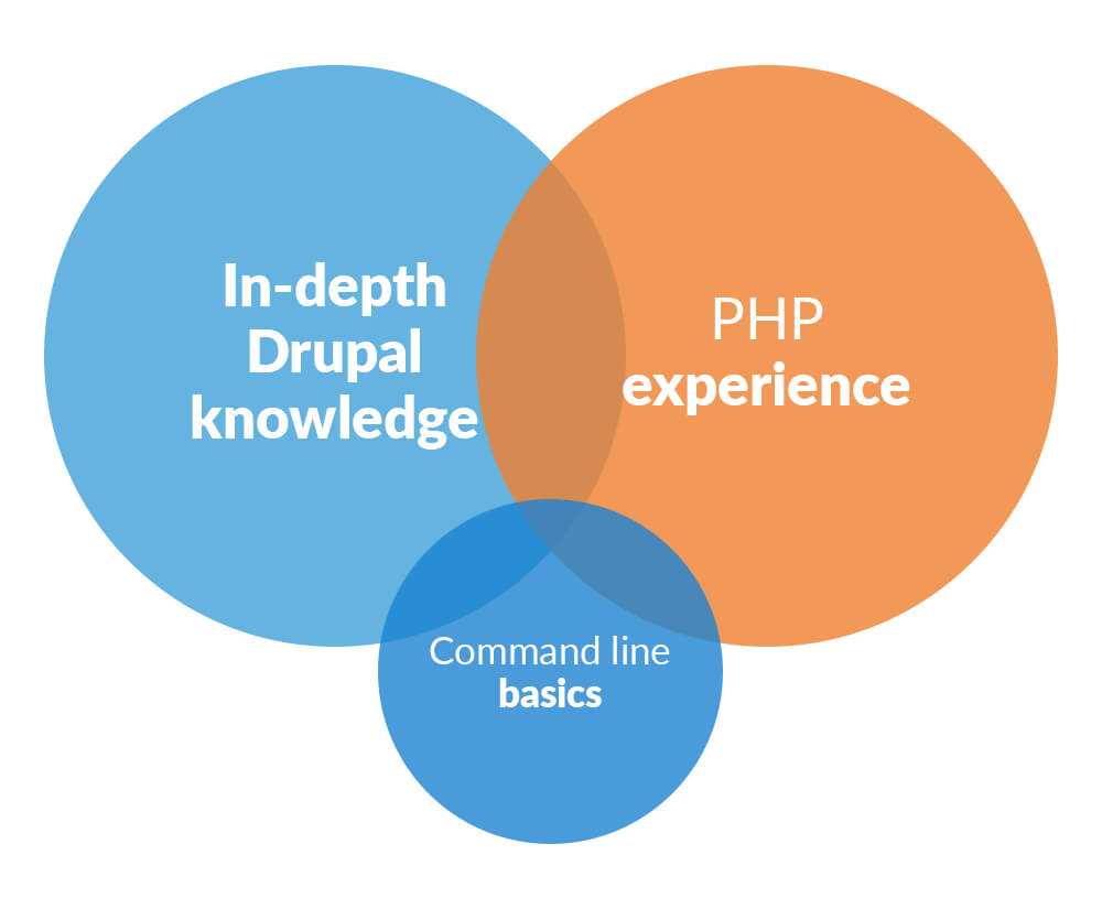 drupal 8 skills