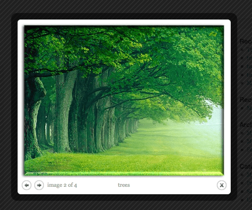 tree-popup